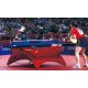 DHS Rainbow Premium Table Tennis Table-红彩虹